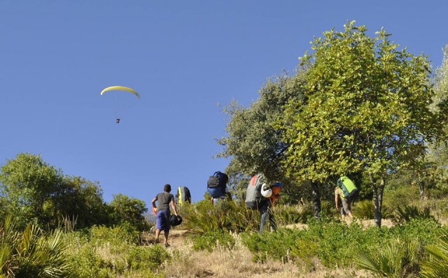  From the ground watching the paraglider fly 