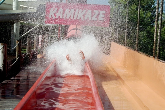  Mega slide. 
