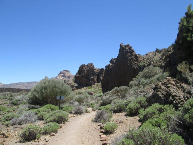 Camino de Tenerife