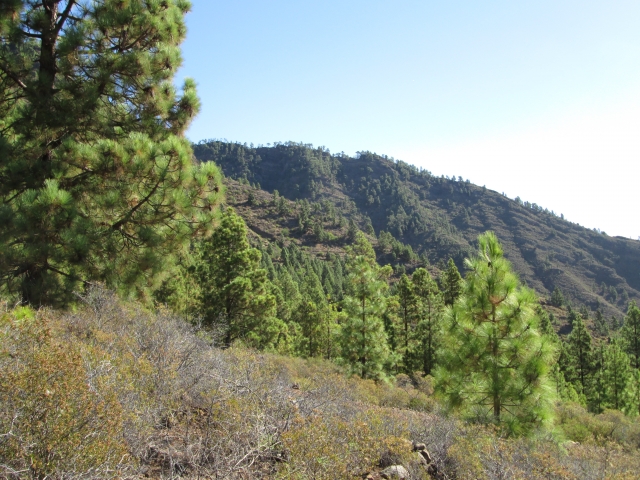 Ladera de Chafa 