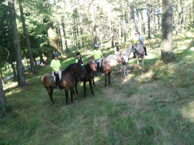 En la cabalgamarra