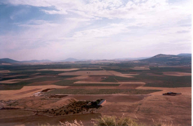 Campos y llanuras