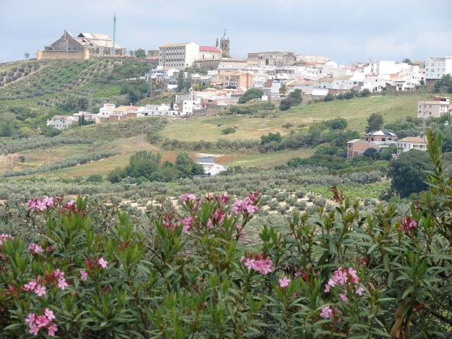 Desde montilla