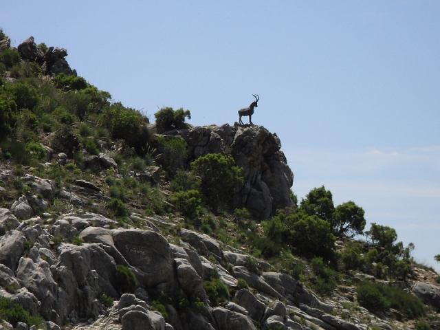 Paisajes andaluces