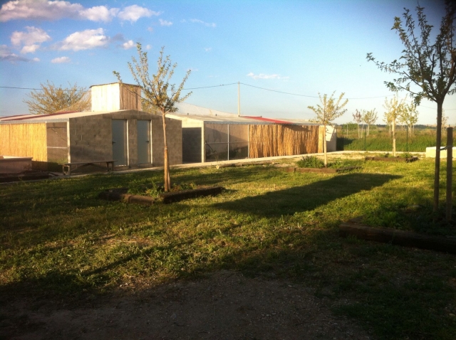The animal recovery center in Juneda 