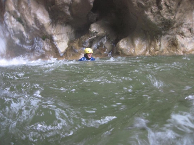 In the current 