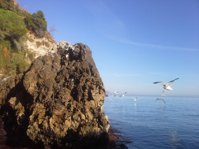 p-44699-costa-malaguena1742487858_17424901463959.jpg