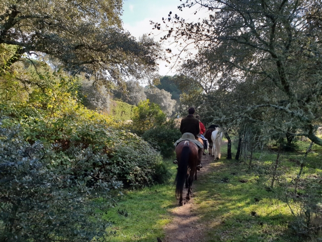  Itinerario a cavallo attraverso la natura