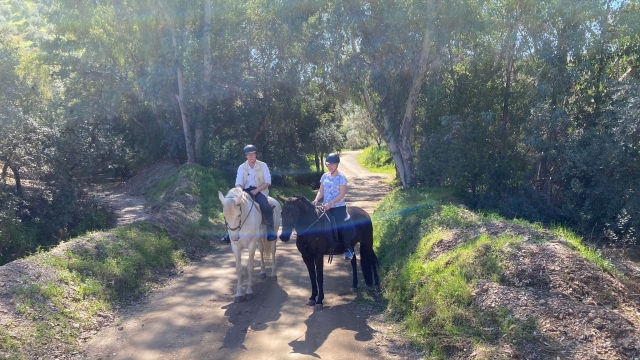 Passeggiate a cavallo a Cordoba 
