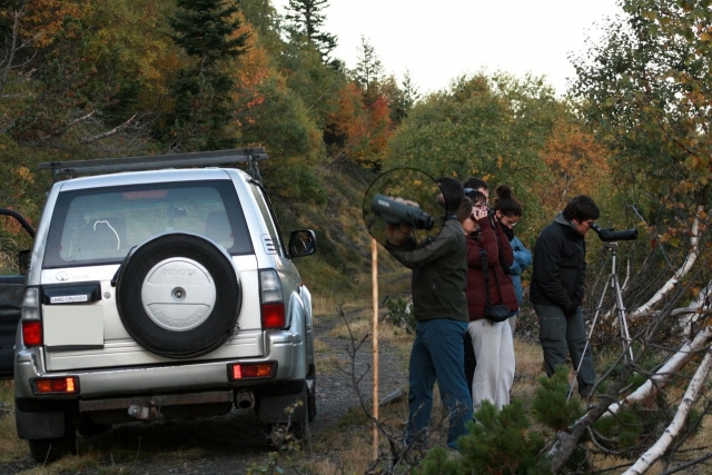 Genießen Sie die Aussicht auf das Tal mit dem SUV von Arán