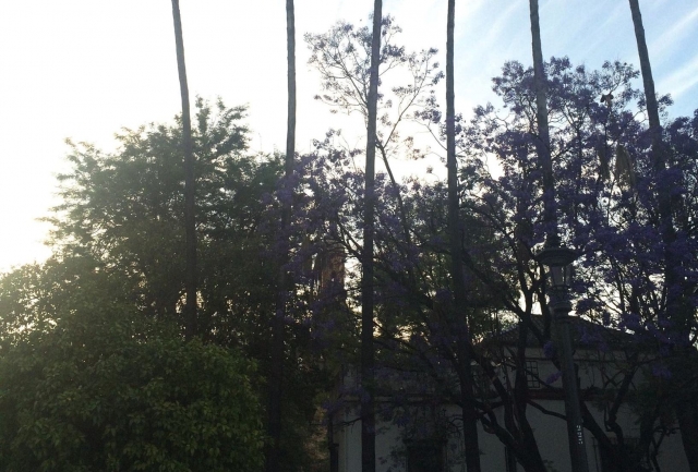 Bellos paisajes urbanos