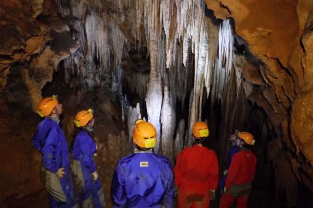  Contemplating the stalactites 