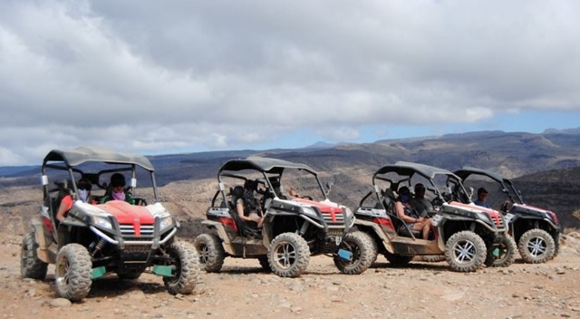  Buggies 