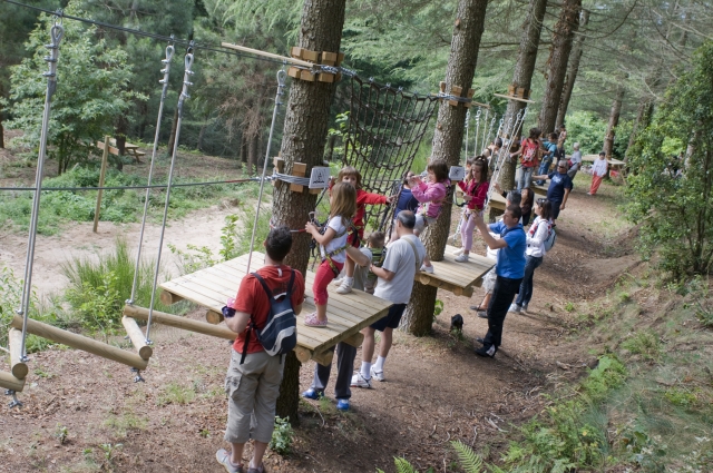  Parc aventure 