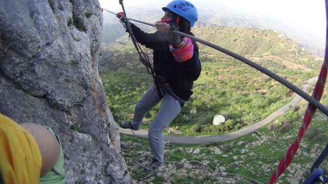  over monkey bridge 