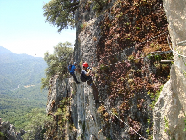  Abstieg der Klettersteig-Hängebrücke 