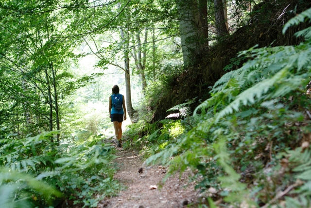  Sentier Valvanera 