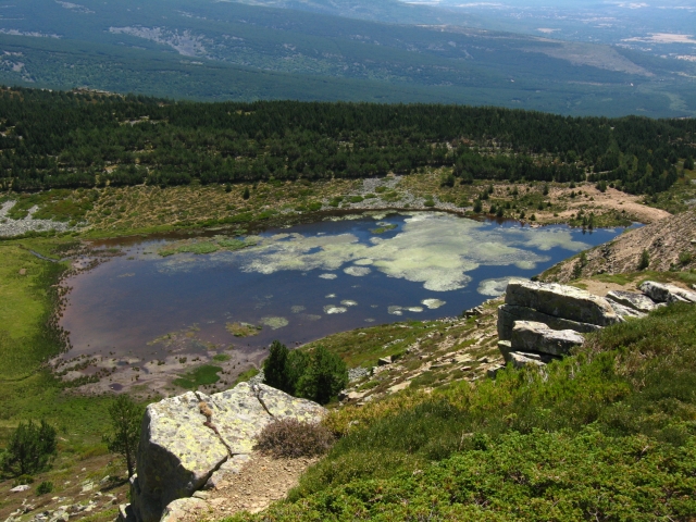 Laguan cebollera