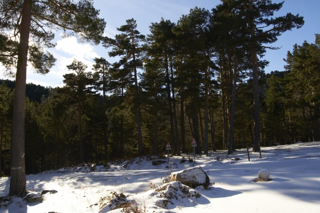 Picos de urbio nevados