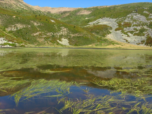 Vistas de la laguna cebollera