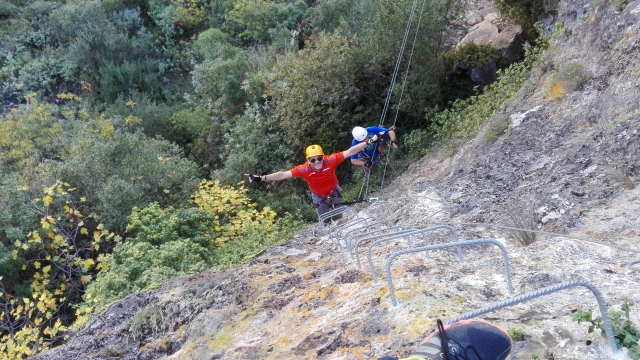  In piena attività 