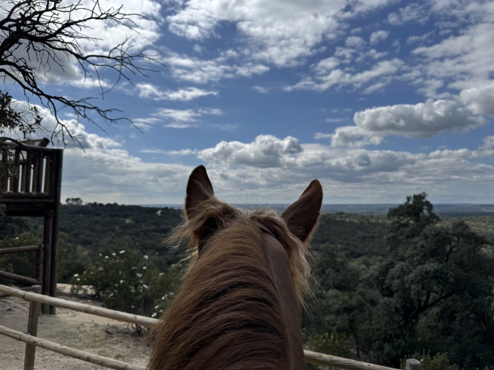 Madrid a caballo