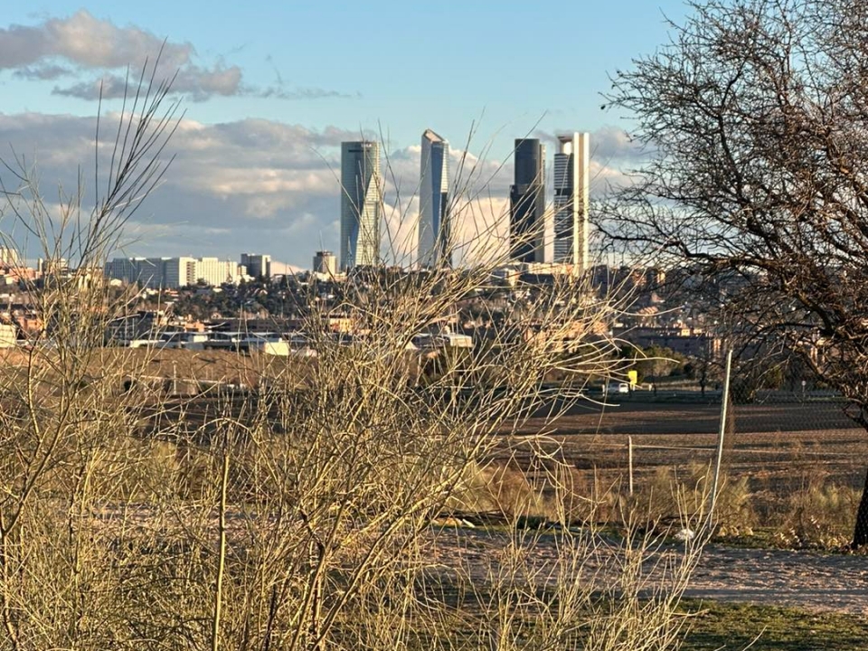 Skyline de Madrid a caballo