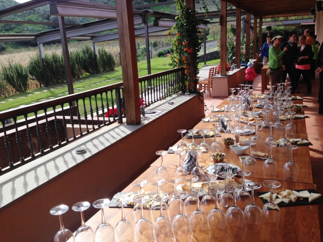  Delicious tastings 