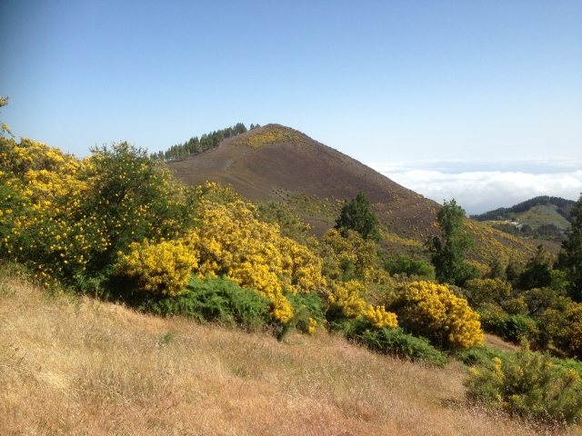  Volcans 