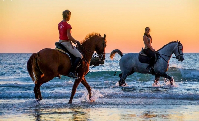 Atardecer en la playa a caballo