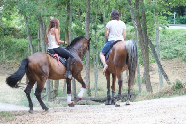 Caminos perfectos para galopar