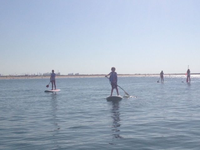  Paddle surfing 