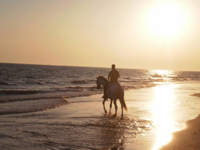  Passeggiata a cavallo lungo la spiaggia di Huelva 