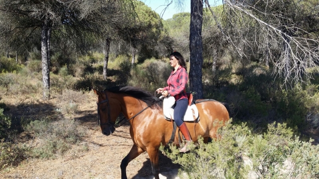 Passeggiata a cavallo per Huelva 