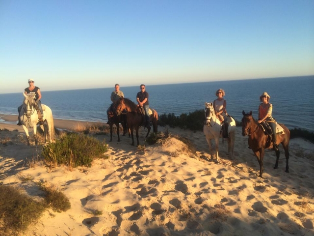  Un bellissimo itinerario a cavallo a Doñana