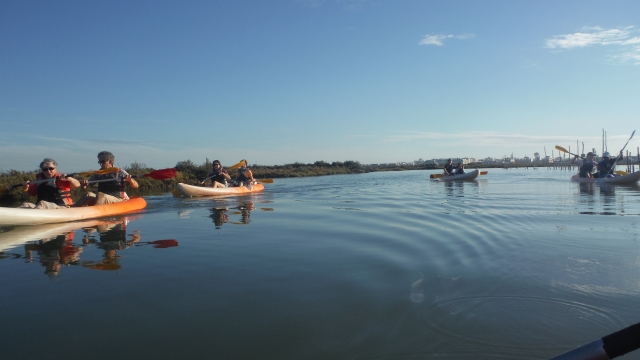 Kayaking in the marshes 