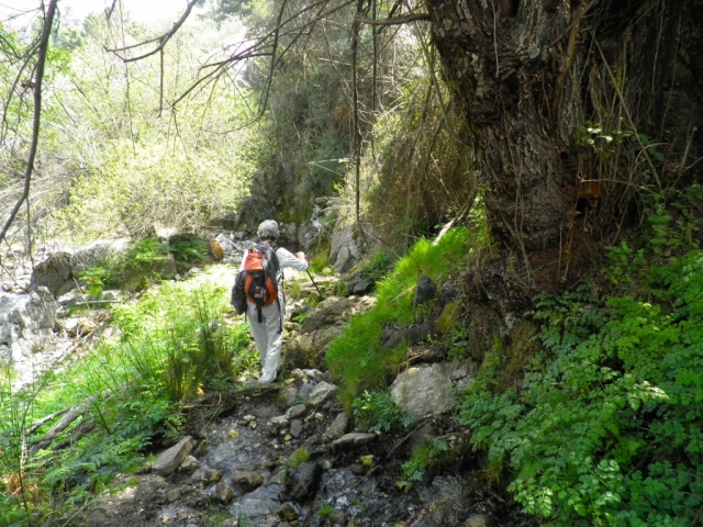  Sentier à travers la vallée d'Igualeja