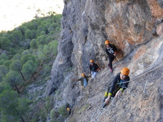  Climbing on staples 