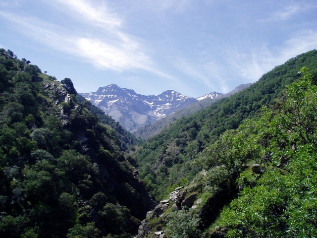  Passeggiata attraverso Vereda de La Estrella
