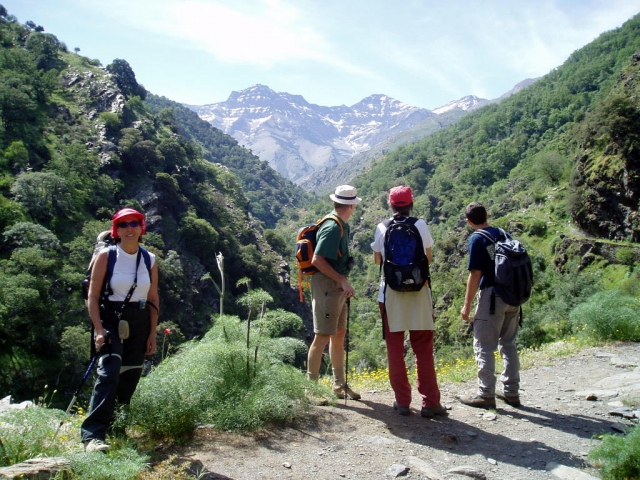  Escursione di gruppo Vereda de La Estrella 
