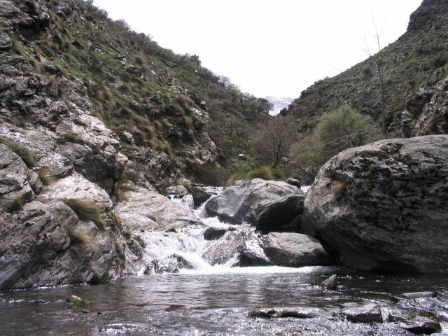  Rio Genil 