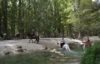 Itinéraire équestre le long des rivières Guadalentín et Turrilla