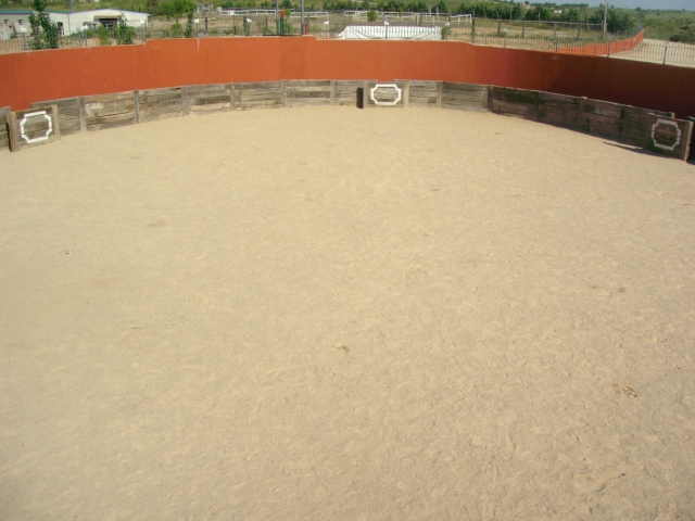 La plaza