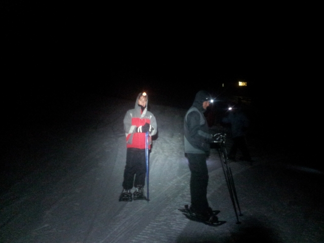 Night tour