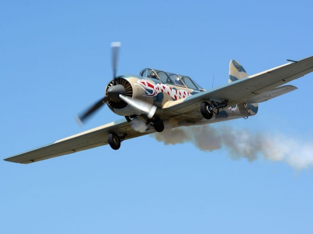 Yakovlev in flight 