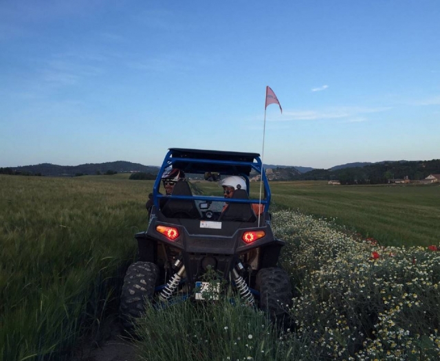 Durch die Landschaft 