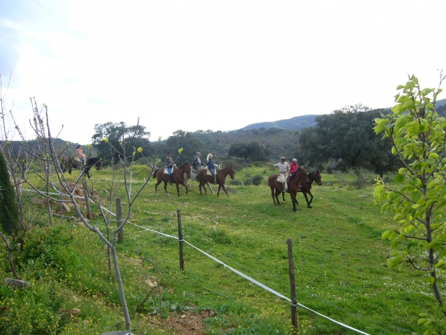 Por el campo