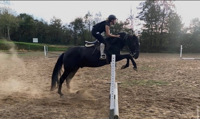  Während des Reitunterrichts 