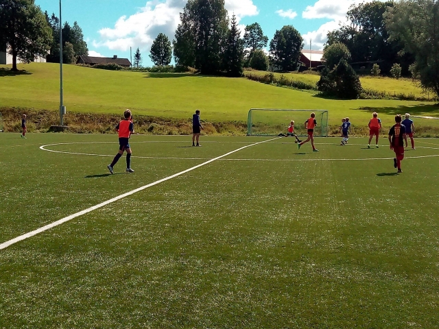 Futbol en estado puro