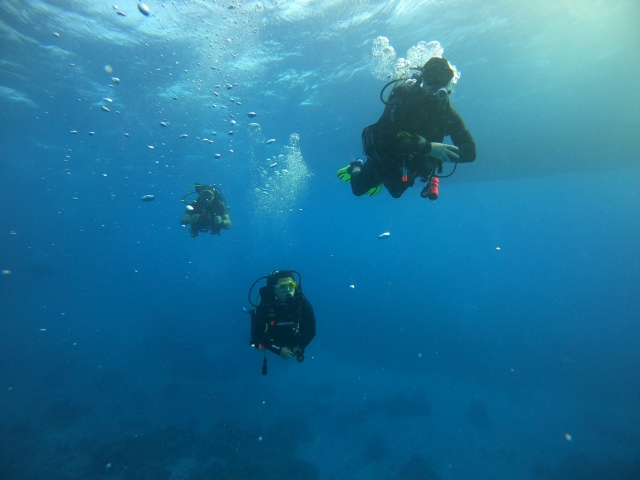  Eintauchen ins offene Meer 